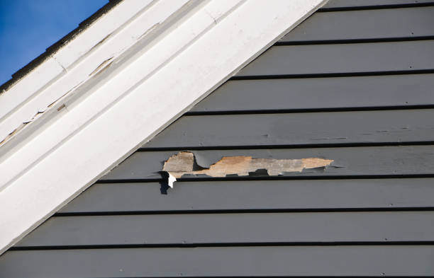 Best Hoarding Cleanup  in Walworth, WI